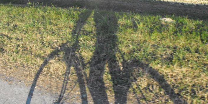 ombra del ciclista sull'erba